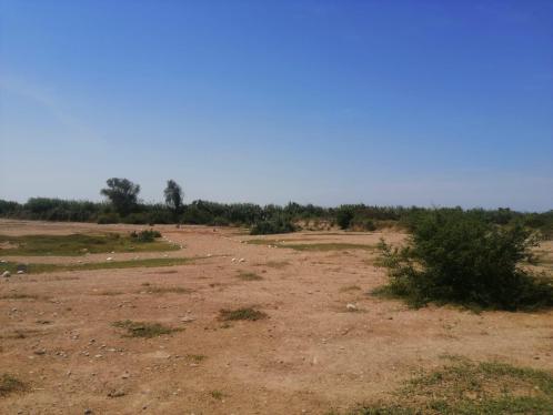 Terreno en Venta ubicado en San Miguel Terreno en Venta ubicado en San Miguel