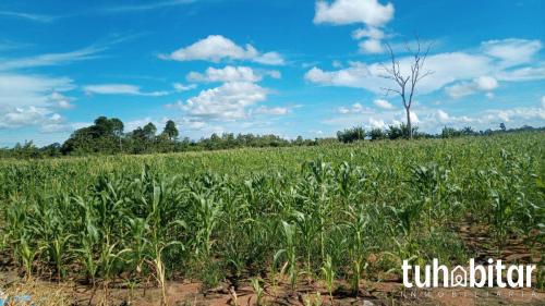 Terreno Agrícola en Venta ubicado en Las Piedras a $1,650,000