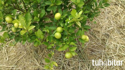 Terreno en Venta ubicado en Las Piedras