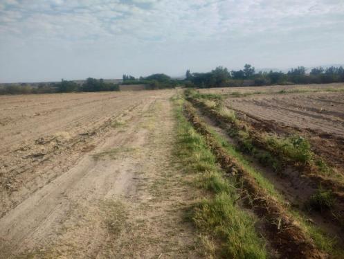 Terreno en Venta ubicado en Peaje Nasca