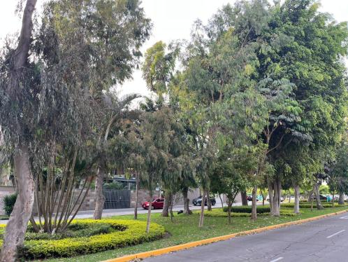 Departamento en Venta ubicado en San Borja a $380,000