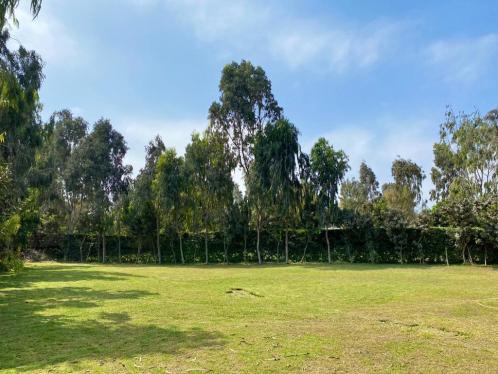 Terreno en Venta ubicado en Lurin