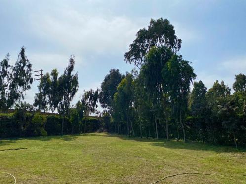 Terreno en Venta ubicado en Condominio Paso Chico