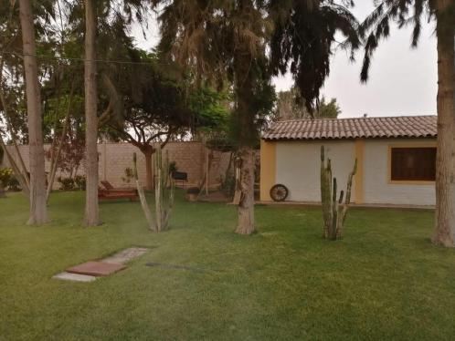 Terreno en Venta ubicado en Sunampe