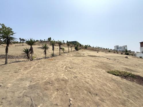 Terreno en Venta ubicado en Comunidad Campesina De Llanavilla