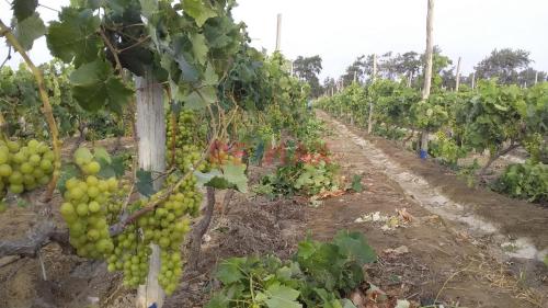 Espectacular Terreno ubicado en Vegueta