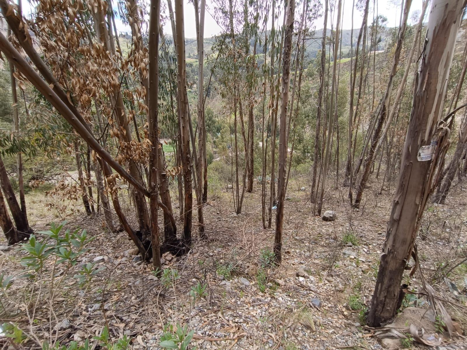 Terreno de ocasión ubicado en Olleros Terreno de ocasión ubicado en Olleros