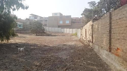 Terreno en Venta ubicado en Puente Piedra