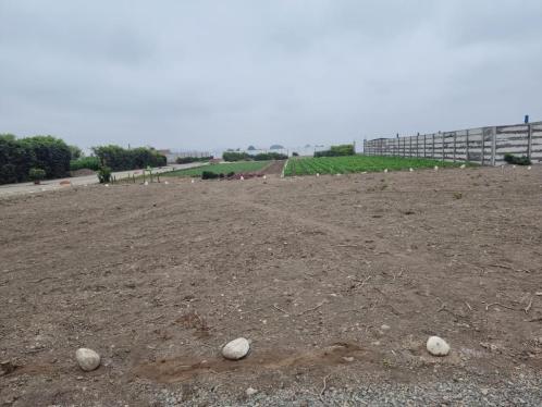 Terreno en Venta ubicado en San Vicente De Cañete