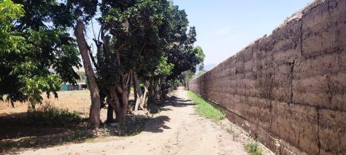 Terreno Agrícola en Venta ubicado en Lurin a $800,000 Terreno Agrícola en Venta ubicado en Lurin a $800,000