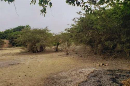 Terreno en Venta ubicado en Panamericana Sur 90 Terreno en Venta ubicado en Panamericana Sur 90