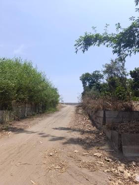 Terreno Agrícola en Alquiler ubicado en Chancay a $700