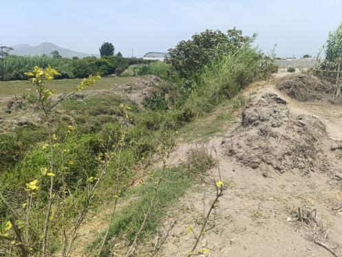 Terreno Agrícola en Alquiler ubicado en Chancay