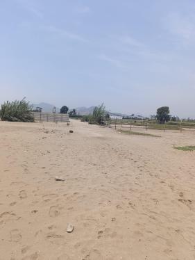 Terreno Agrícola en Alquiler ubicado en Chancay