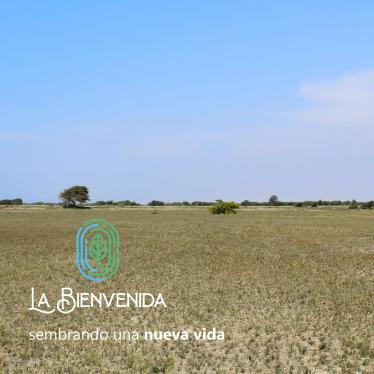 Terreno en Venta ubicado en San Clemente