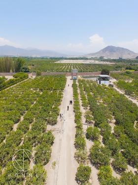 Terreno en Venta ubicado en Huaral Terreno en Venta ubicado en Huaral