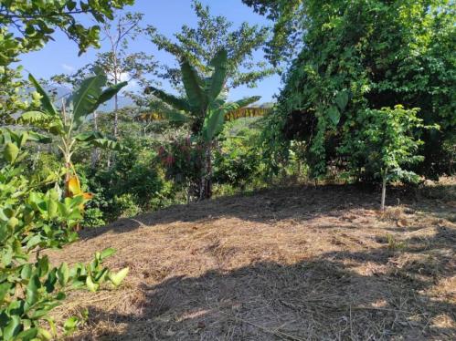Terreno Agrícola en Venta ubicado en Sector San Juan Santos Atahualpa Terreno Agrícola en Venta ubicado en Sector San Juan Santos Atahualpa