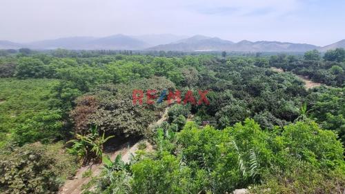 Terreno en Venta ubicado en Huaral Terreno en Venta ubicado en Huaral