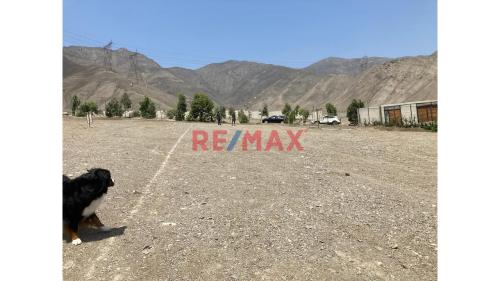 Terreno en Venta ubicado en Av. Lurin Terreno en Venta ubicado en Av. Lurin