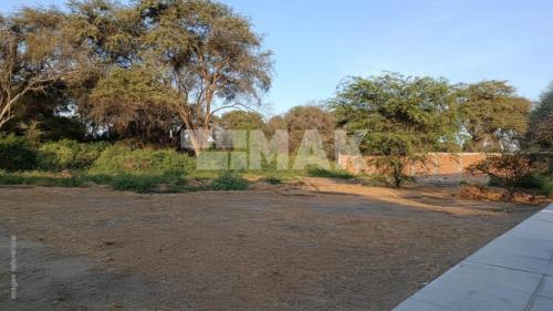 Amplio Terreno ubicado en Piura Amplio Terreno ubicado en Piura