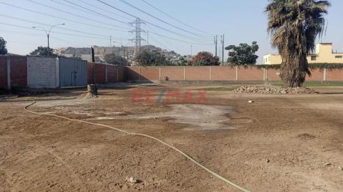 Terreno en Alquiler ubicado en Puente Piedra Terreno en Alquiler ubicado en Puente Piedra