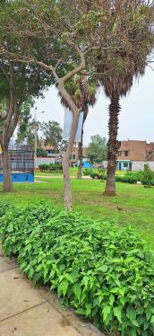 Terreno en Venta ubicado en Ate Terreno en Venta ubicado en Ate