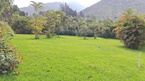 Terreno en Venta ubicado en Santa Eulalia Terreno en Venta ubicado en Santa Eulalia