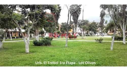 Departamento de 3 dormitorios y 2 baños ubicado en Los Olivos Departamento de 3 dormitorios y 2 baños ubicado en Los Olivos