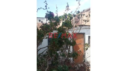Terreno en Venta ubicado en Calle 5 Terreno en Venta ubicado en Calle 5