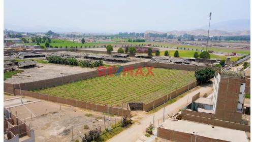Terreno en Venta ubicado en Carabayllo