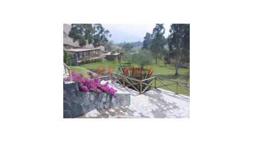 Terreno en Venta ubicado en Cieneguilla Terreno en Venta ubicado en Cieneguilla