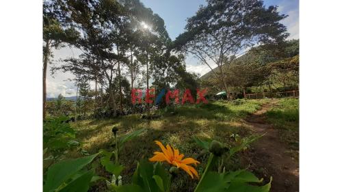 Terreno en Venta ubicado en Huancabamba Terreno en Venta ubicado en Huancabamba
