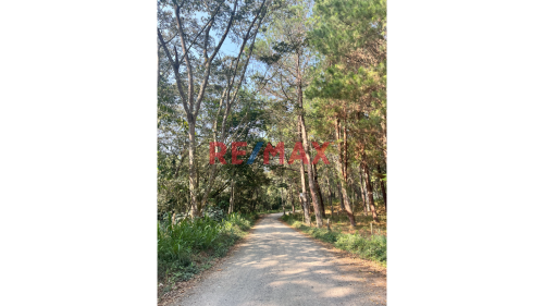 Terreno en Venta ubicado en Huancabamba Terreno en Venta ubicado en Huancabamba