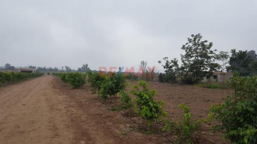 Terreno en Venta ubicado en Santisima Cruz De Sacachispas Terreno en Venta ubicado en Santisima Cruz De Sacachispas