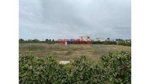 Terreno en Venta ubicado en Mala Terreno en Venta ubicado en Mala