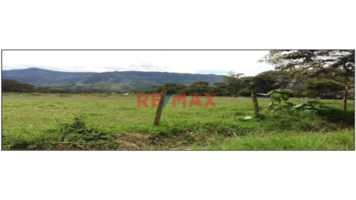 Terreno en Venta ubicado en Oxapampa Terreno en Venta ubicado en Oxapampa