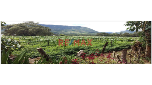 Terreno en Venta ubicado en Pa-106 Terreno en Venta ubicado en Pa-106