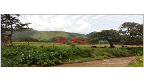 Espectacular Terreno ubicado en Oxapampa Espectacular Terreno ubicado en Oxapampa