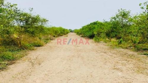 Terreno en Venta ubicado en Chincha Baja Terreno en Venta ubicado en Chincha Baja