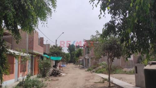 Amplio Terreno ubicado en Pachacamac Amplio Terreno ubicado en Pachacamac