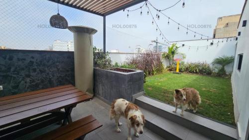 Departamento en Alquiler y permite mascotas