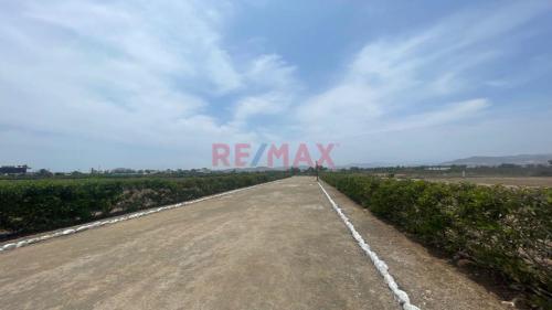 Terreno en Venta ubicado en Mala Terreno en Venta ubicado en Mala