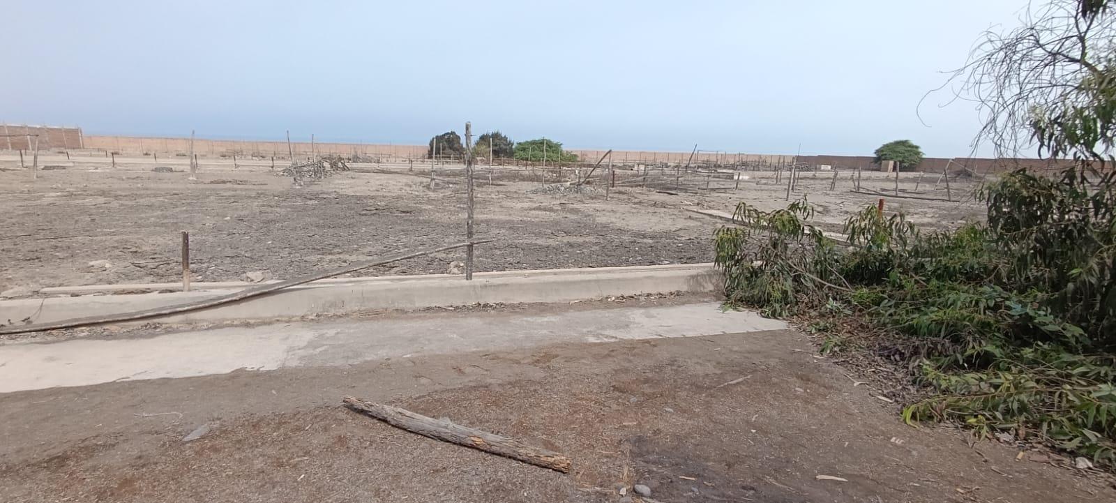 Terreno de ocasión ubicado en Chancay Terreno de ocasión ubicado en Chancay