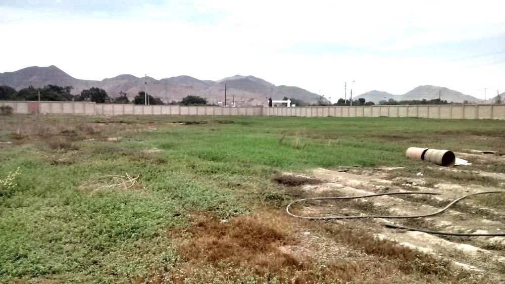 Espectacular Terreno Comercial ubicado en Lurin Espectacular Terreno Comercial ubicado en Lurin