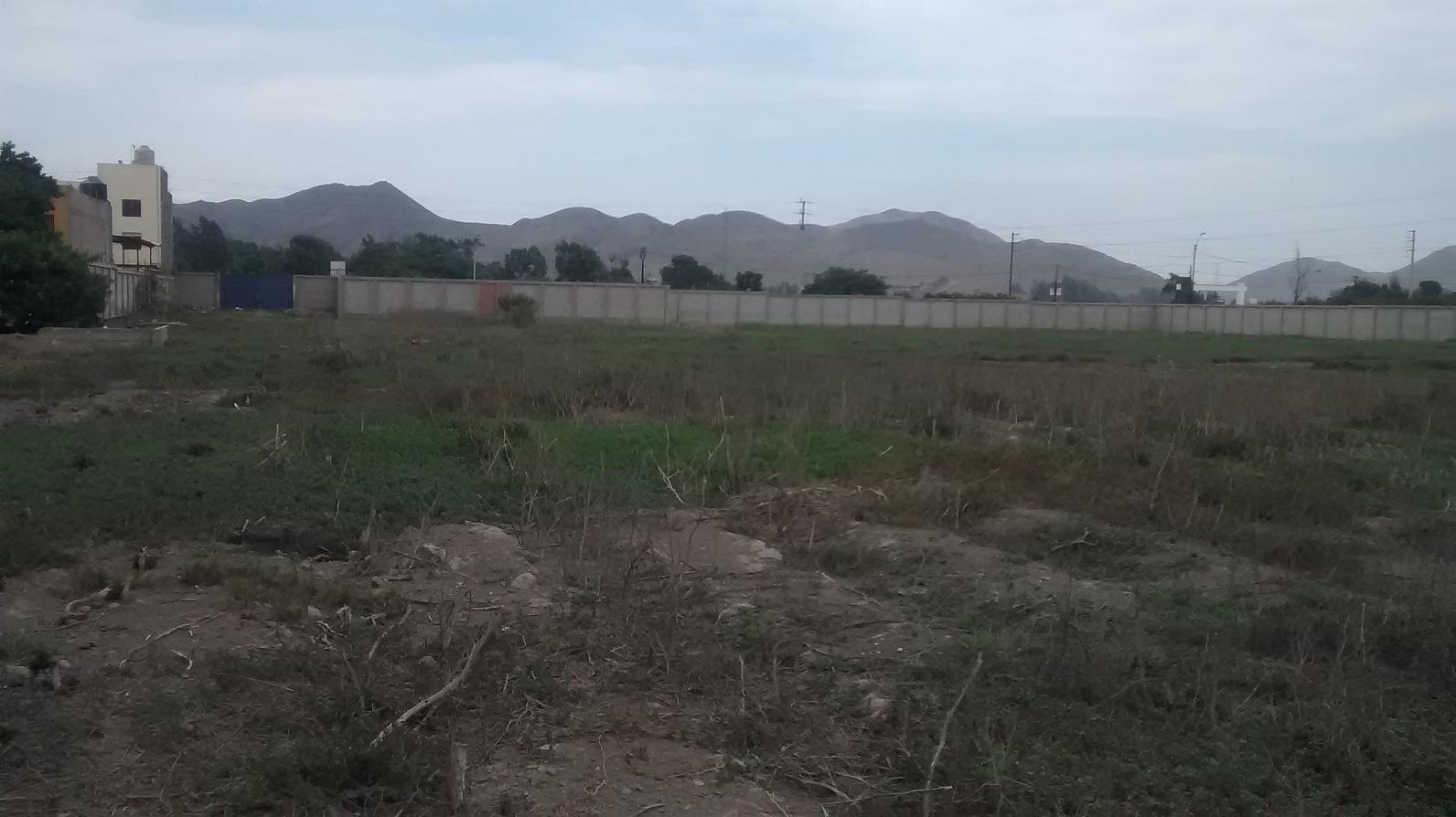 Amplio Terreno Comercial ubicado en Lurin Amplio Terreno Comercial ubicado en Lurin