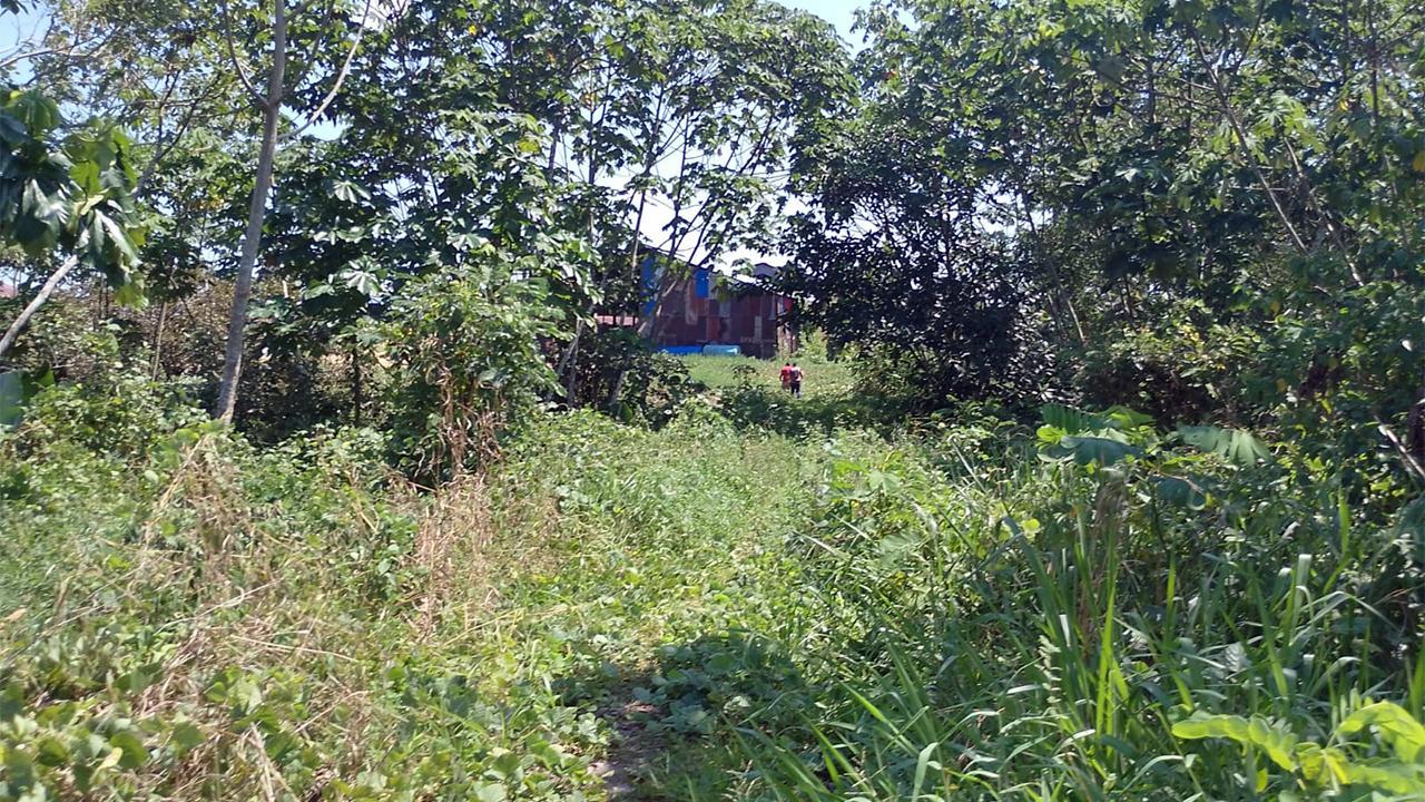 Oportunidad única Terreno ubicado en Iquitos Oportunidad única Terreno ubicado en Iquitos