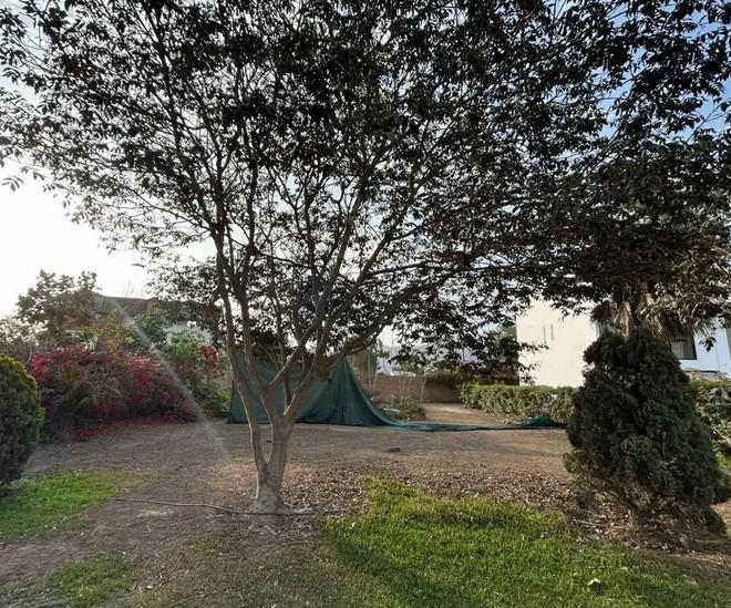 Terreno en Venta ubicado en Calle Tomina Terreno en Venta ubicado en Calle Tomina