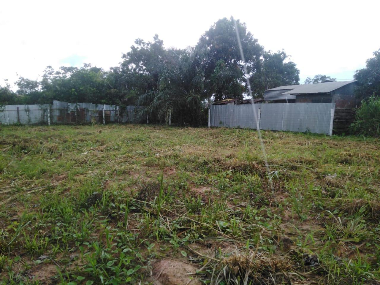Amplio Terreno ubicado en Yarinacocha Amplio Terreno ubicado en Yarinacocha