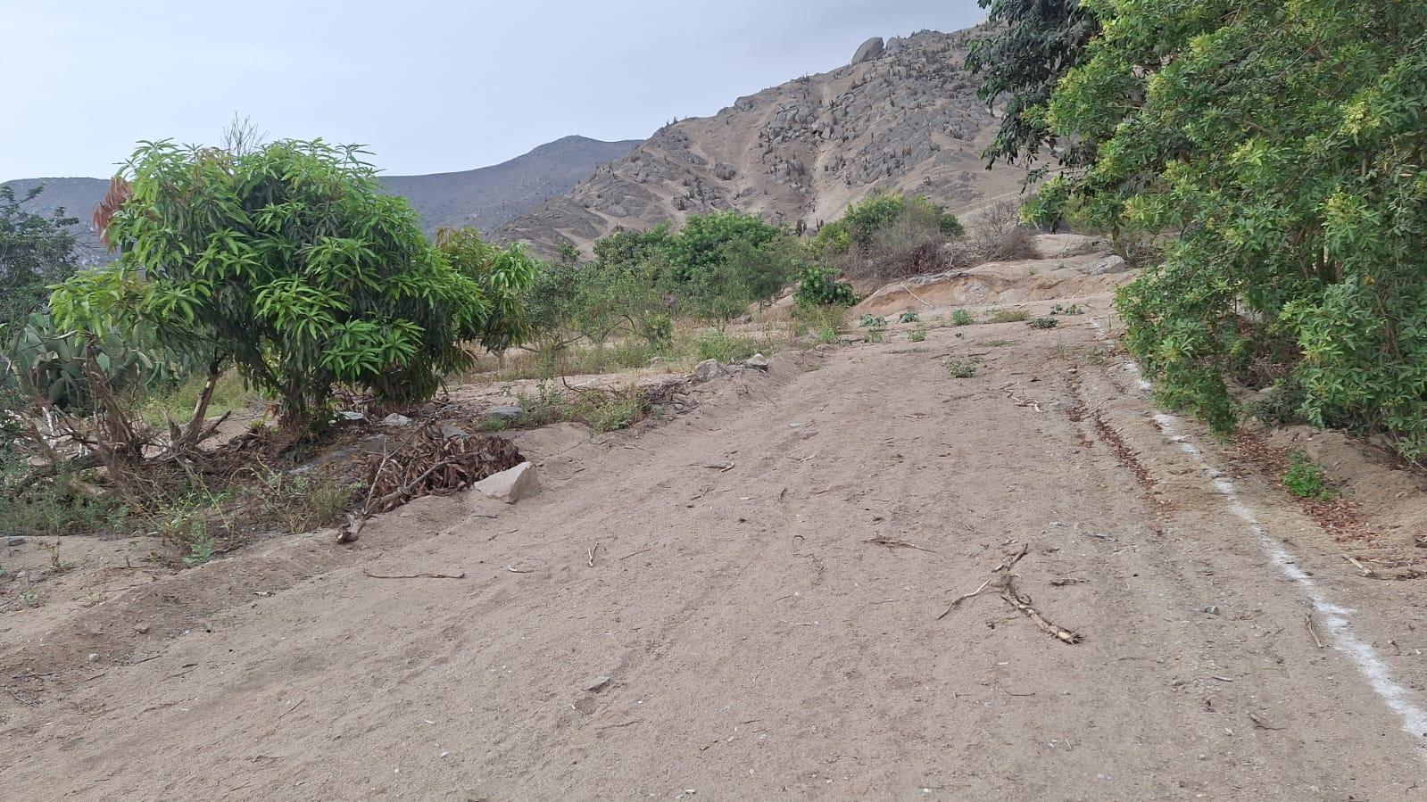 Amplio Terreno ubicado en Huaral Amplio Terreno ubicado en Huaral