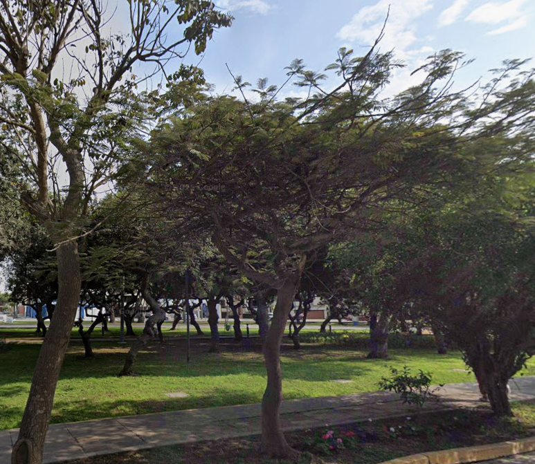 Terreno en Venta ubicado en San Borja Terreno en Venta ubicado en San Borja